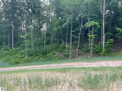 S Hill Road, Cedar, MI 49621 photo 4