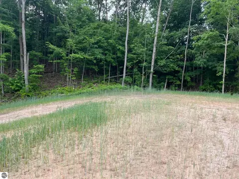 S Hill Road, Cedar, MI 49621 photo 3