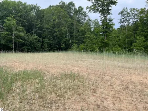 S Hill Road, Cedar, MI 49621 photo 8
