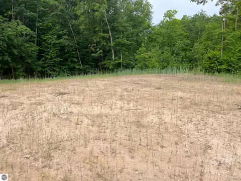 S Hill Road, Cedar, MI 49621 photo 2