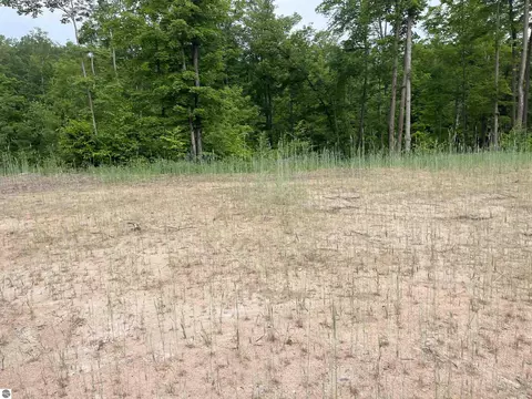 S Hill Road, Cedar, MI 49621