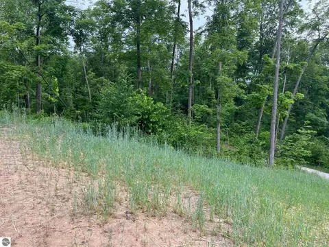S Hill Road, Cedar, MI 49621 photo 6