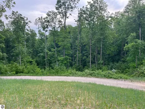 S Hill Road, Cedar, MI 49621 photo 7