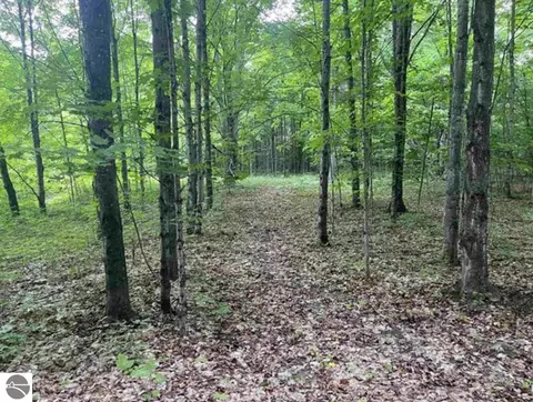 0 W Armstrong Lake Trl, Empire, MI 49630