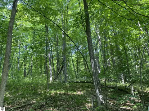 Lot 70 Birch View Trail, Lake Ann, MI 49650