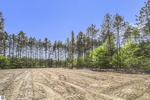 3075 NE Golf Haven Dr, Kalkaska, MI 49646