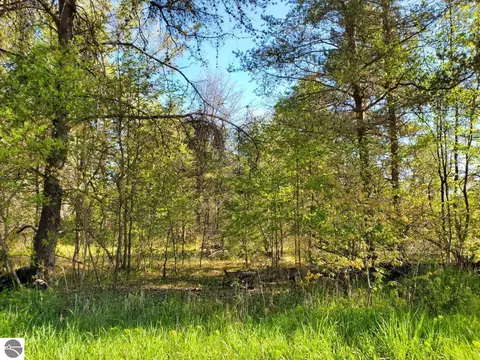 0 Donald St #LOT S 158-160 DONALD STREET, Prescott, MI 48756