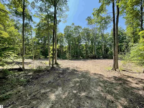 Lot 16 S Fairway Drive, Cedar, MI 49621