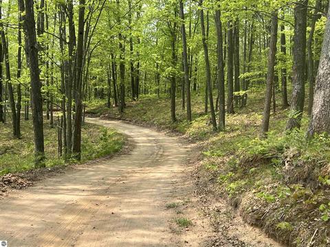 00 S 47 34 Rd #PARCEL B, Cadillac, MI 49601