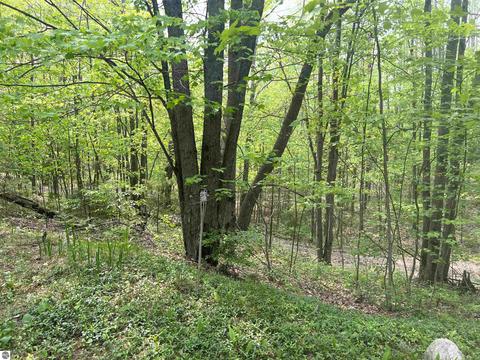 00 S 47 34 Rd #PARCEL C & E, Cadillac, MI 49601