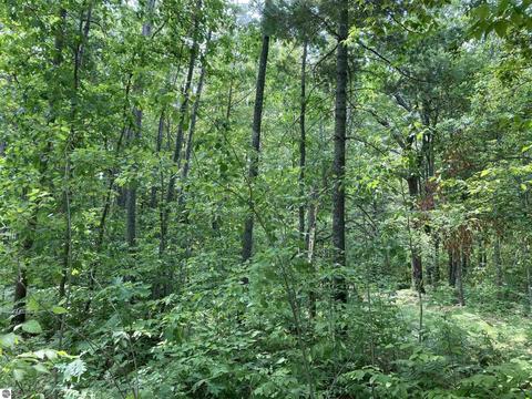 N/a Heath Road, South Branch, MI 48761