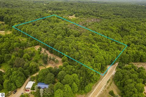 0 Narrow Gauge Rd, Beulah, MI 49617