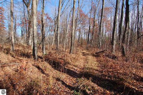 5401 S Jeffs Rd, Falmouth, MI 49632