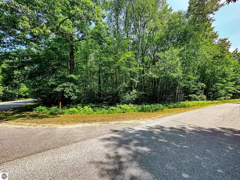 Nnn Teaberry Lane, Houghton Lake, MI 48629