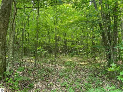 Bern Drive, Reed City, MI 49677