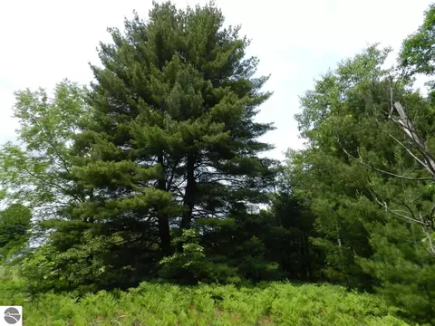 000 Riley Rd, Interlochen, MI 49463