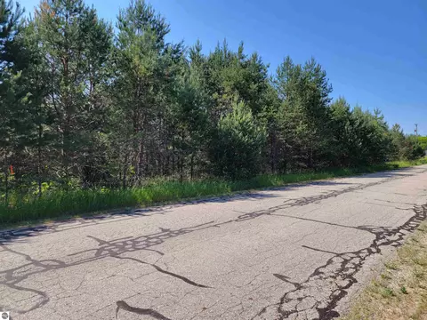 V/l Sunnyside Street, Mancelona, MI 49659