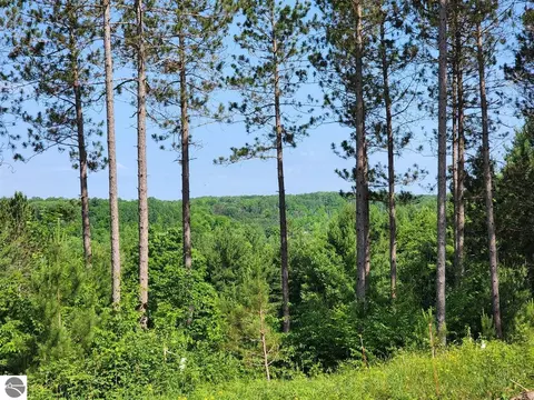 13997 S Cedar Valley Ridge Dr, Traverse City, MI 49684