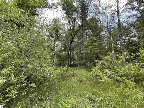 00 Maybelle St, Prescott, MI 48756