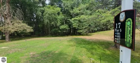 Nnn White Deer Trail, Prudenville, MI 48651