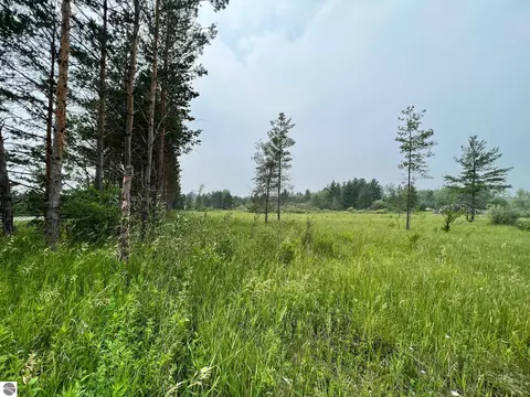 00 E 12 Rd, Manton, MI 49663 photo 3