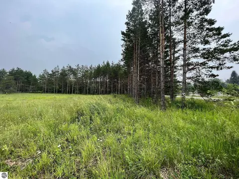 00 E 12 Rd, Manton, MI 49663 photo 2