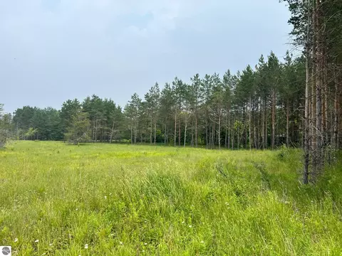 00 E 12 Rd, Manton, MI 49663