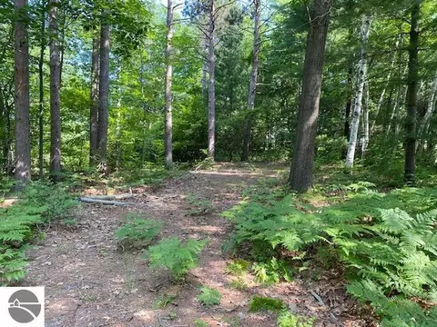 11670 Petobego Pines Ln, Williamsburg, MI 49690