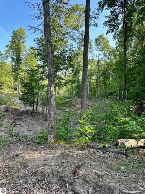 S Lime Lake Road, Cedar, MI 49621 photo 6