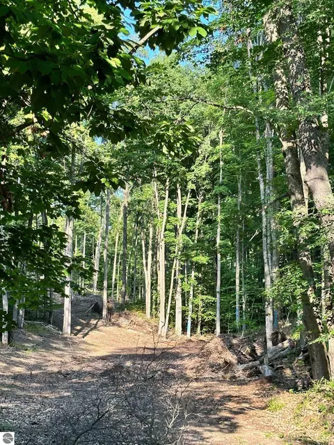 S Lime Lake Road, Cedar, MI 49621 photo 3