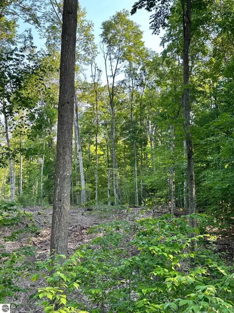 S Lime Lake Road, Cedar, MI 49621 photo 10