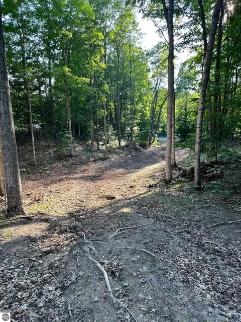 S Lime Lake Road, Cedar, MI 49621 photo 15