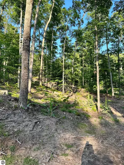 S Lime Lake Road, Cedar, MI 49621 photo 7