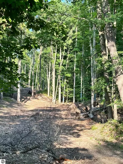 S Lime Lake Road, Cedar, MI 49621 photo 17