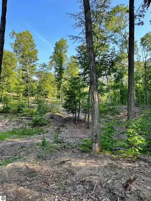 S Lime Lake Road, Cedar, MI 49621 photo 14