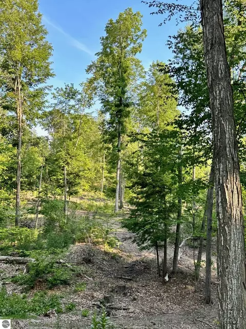 S Lime Lake Road, Cedar, MI 49621 photo 9