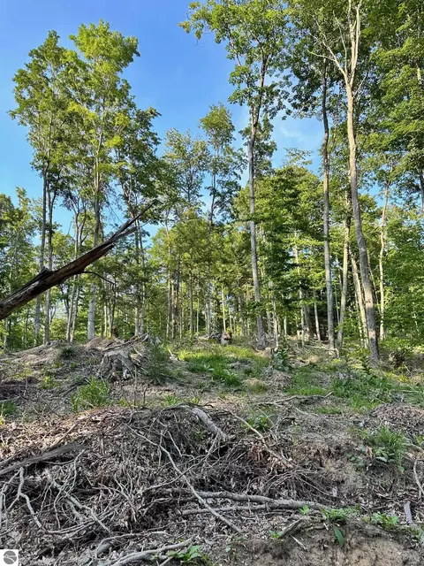 S Lime Lake Road, Cedar, MI 49621 photo 18
