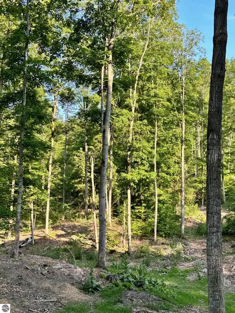 S Lime Lake Road, Cedar, MI 49621 photo 8