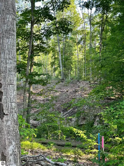 S Lime Lake Road, Cedar, MI 49621 photo 11