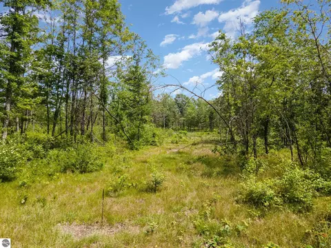 Tbd N Willow Road, Bitely, MI 49309