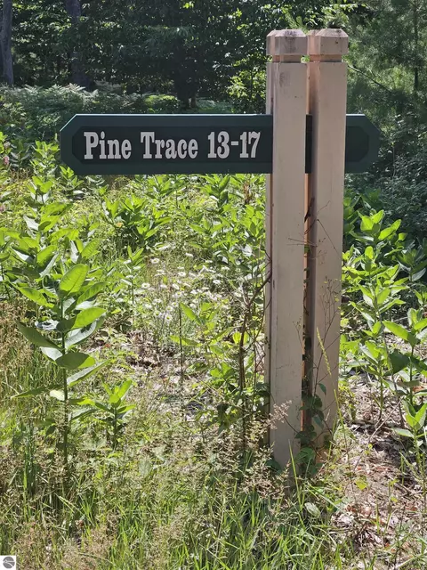15 Pine Trce, Glen Arbor, MI 49636