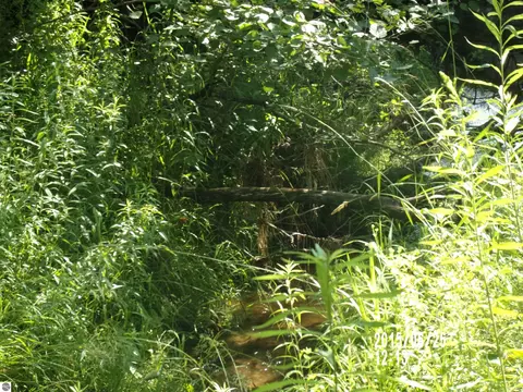 0 W Conners Rd, Twining, MI 48766 photo 7