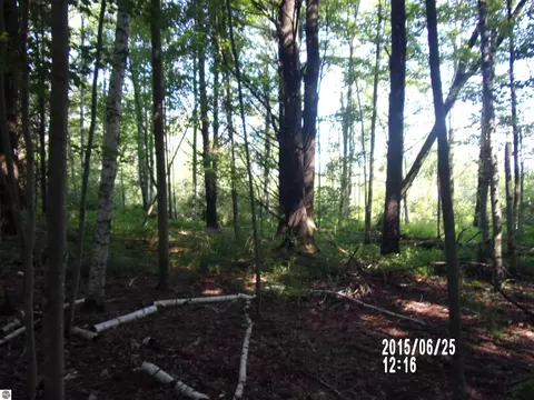 0 W Conners Rd, Twining, MI 48766 photo 10
