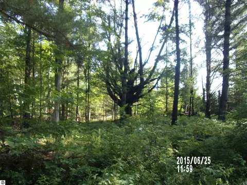 0 W Conners Rd, Twining, MI 48766
