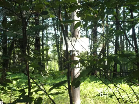 0 W Conners Rd, Twining, MI 48766 photo 3