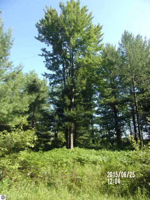 0 W Conners Rd, Twining, MI 48766 photo 4