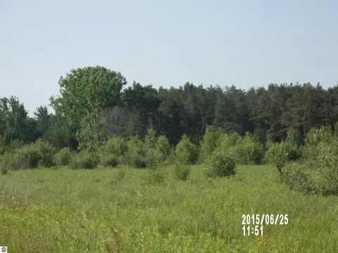 0 W Main St, Twining, MI 48766 photo 9