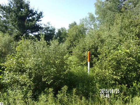 0 W Main St, Twining, MI 48766 photo 3