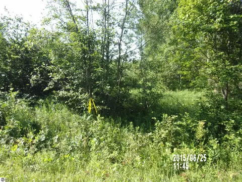 0 W Main St, Twining, MI 48766 photo 2