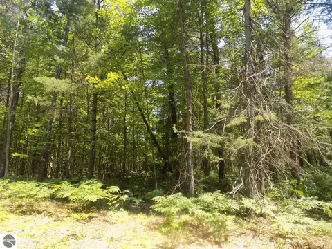Nnn Old Pine Trail, Prudenville, MI 48651